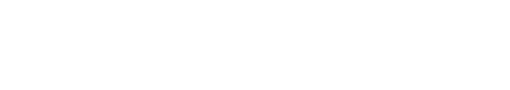 logo schenatti