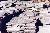 Grey beola